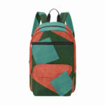 010 travel backpack